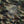 RHINESTONE OG BOY CREW SWEAT CAMO