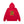 BIG BICS PHOTO HOODIE RED