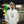 CONTACT INFO HOODIE ASH