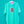 HIBISCUS OG LABEL TEE EMERALD