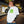 OG SLIME TEE WHITE