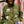 PATCHED LOGOS NYLON MOUNTAIN JACKET OLIVE