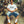 WIRED RIDER LOGO TEE WHITE