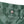 ZEBRA STRIPED SHORTS GREEN