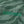 ZEBRA STRIPED SHORTS GREEN