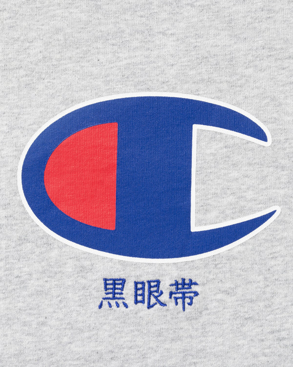 LONG SLEEVE T-SHIRTS SILVER GRAY
